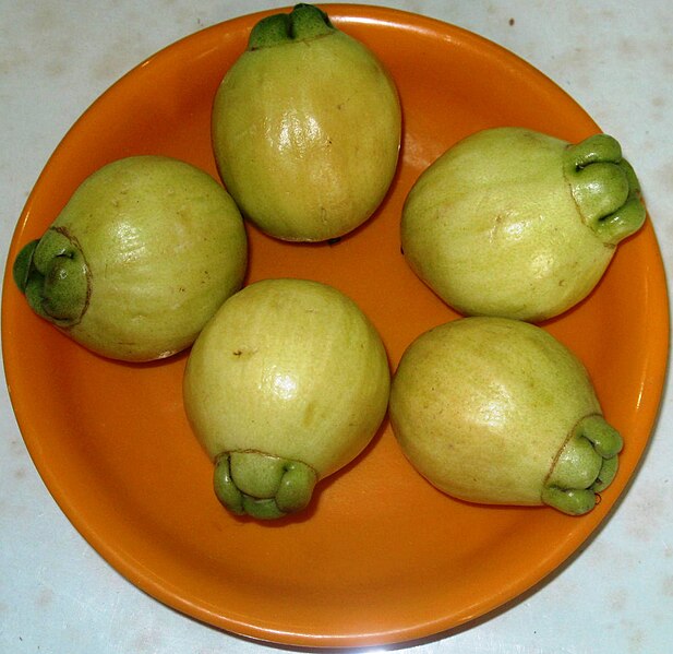 File:Rose-apples, ripe.jpg