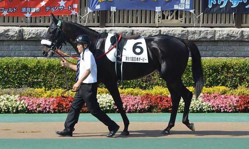 File:Shonan-Lagoon Tokyo-Yushun 2014.jpg