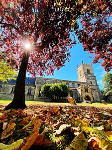 A photo of Bicester's St Edburg's Church, a Cotswold stone building, in the sunshine, with the sun shining through a tree.