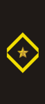 Worn on the sleeve, a gold star surrounded inside of a gold diamond.