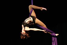 AerialShowgirlsTissu2.jpg