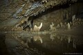 Image 11Barton Creek Cave (from Tourism in Belize)