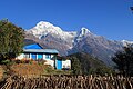 View from Ghandruk