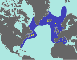 A map showing the range of the great auk, with the coasts of North America and Europe forming two boundaries, a line stretching from New England to northern Portugal the southern boundary, and the northern boundary wrapping around the southern shore of Greenland.