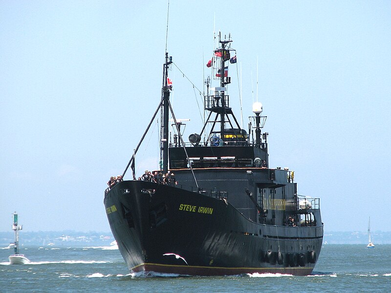 Файл:MV Steve Irwin Melbourne.jpg