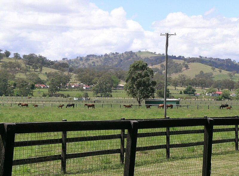 File:Murrurundi NSW 2.JPG