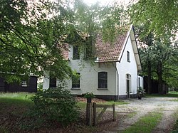 Seed pit building