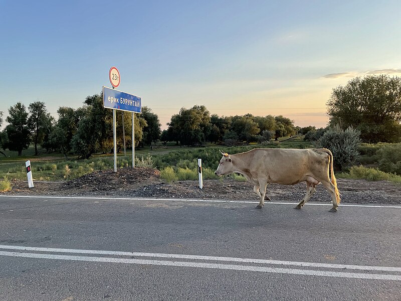 Файл:Road near Ivanchug.jpg