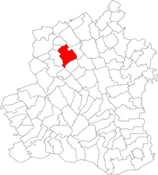 Location in Teleorman County