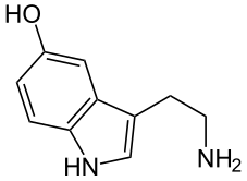 Файл:Serotonin (5-HT).svg