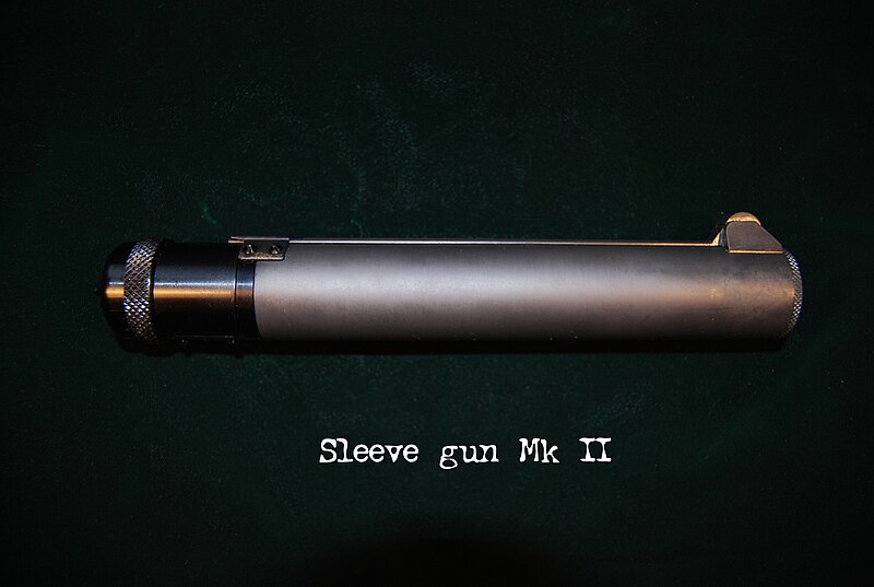 Файл:Sleeve gun 090111 1.jpg