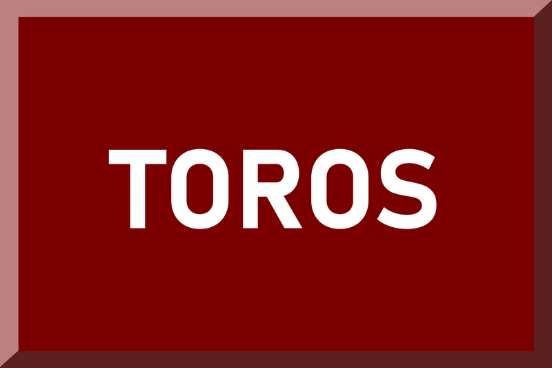 Archivo:Toros Flag.png