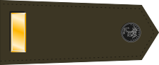 File:US Marine O1 shoulderboard.svg