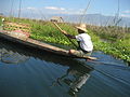 Floating farm