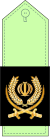 Brigadier General