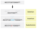 Image 25Types of small-scale mutations (from Mutation)