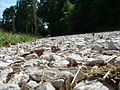 A close-up of a gravel road in Terre Haute, Indiana