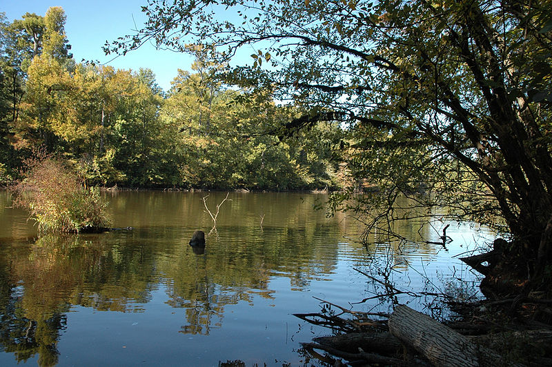 File:Pond creek nwr.jpg