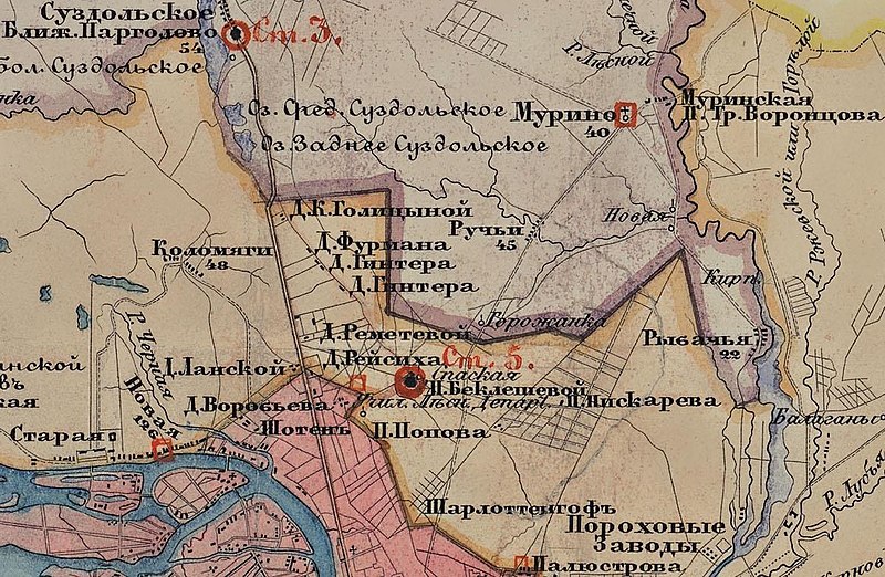 Файл:St.Petersburg Uezd, 1854 (detail).jpg