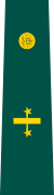 insignia de TC ( Teniente Coronel ) del ejército de Colombia