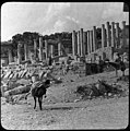 Old photo of the theatre before restoration work