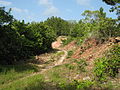 Cúspide del cerro.