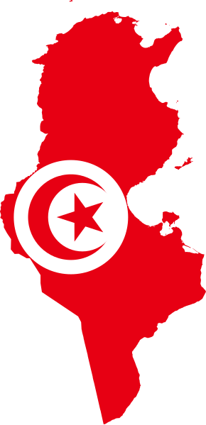 Archivo:Flag map of Tunisia.svg