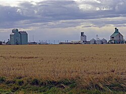 Grain elevators in Foremost