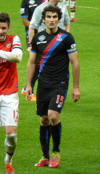 File:Mile Jedinak 2014.jpg