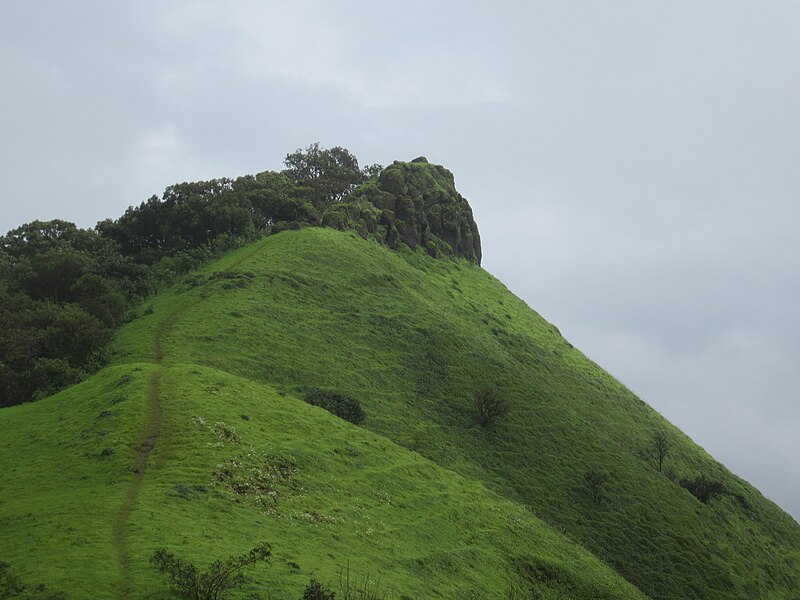 File:Rajgad3.jpg