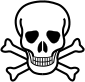 The infamous "skull and crossbones" of Pirate Republic