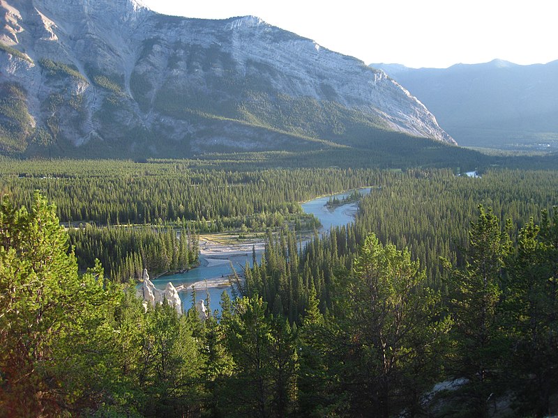 Файл:Bow River 3.jpg