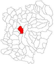 Location in Caraș-Severin County