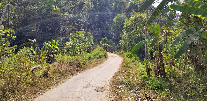 Файл:Dirt Road in Pottenkad.jpg