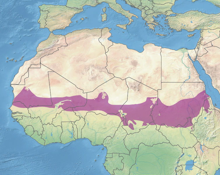 File:Ecoregion AT0713.svg