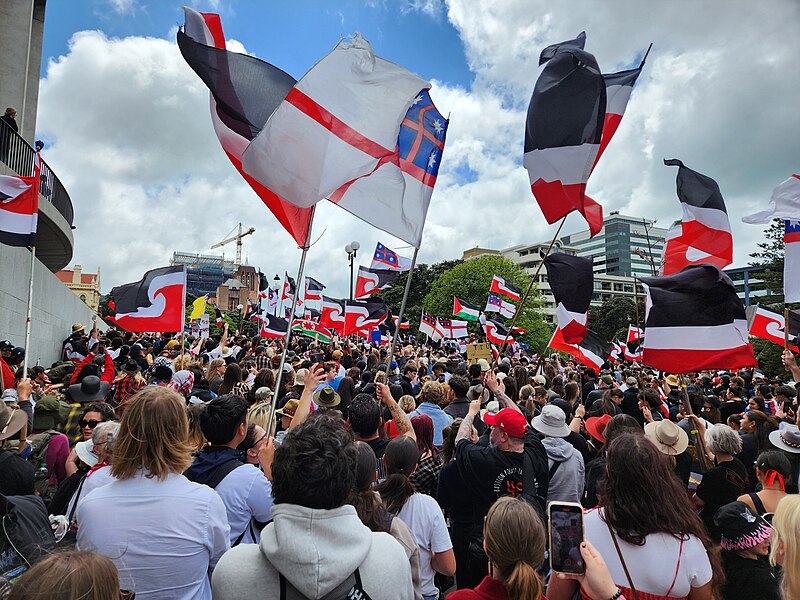 File:Hikoi to Parliament 2.jpg