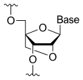 Chemical structure of a single nucleoside (sugar plus base) of a locked nucleic acid