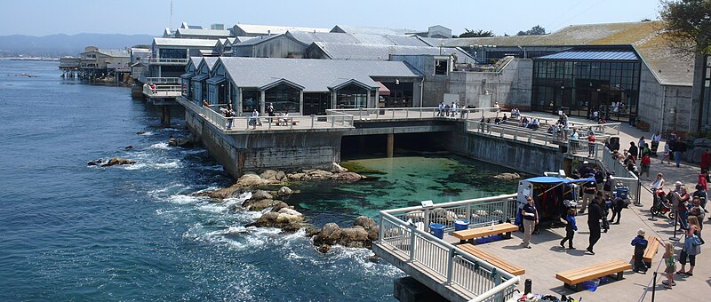 File:MontereyBayAquariumBackview (cropped).jpg