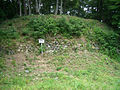 Stone wall of Honmaru Compound