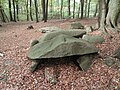 Megalithic chambered tomb "Devil's Dough Trough" in Vehrte