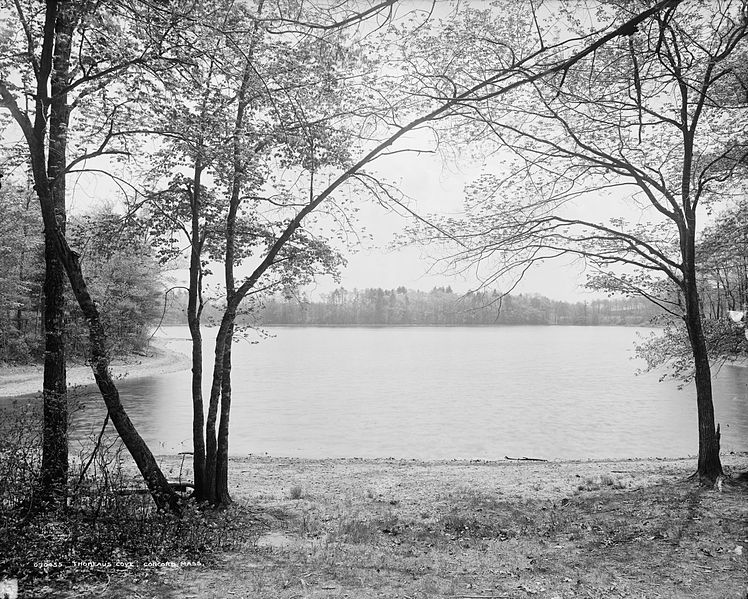 File:Walden Pond.jpg