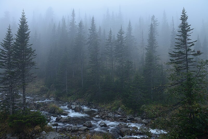 Файл:Baikal reservate.jpg