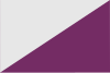 Flag of Torregamones, Spain