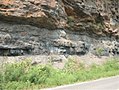 Image 14Bituminous coal seam in southwestern West Virginia (from West Virginia)