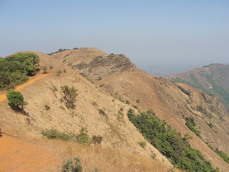 File:Kodachadri,Karnataka,India.jpg