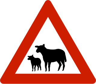 File:NO road sign 146.5.svg