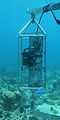 A NOAA (AOML) in situ CO 2 concentration sensor, attached to a Coral Reef Early Warning System station, utilized in conducting ocean acidification studies near coral reef areas