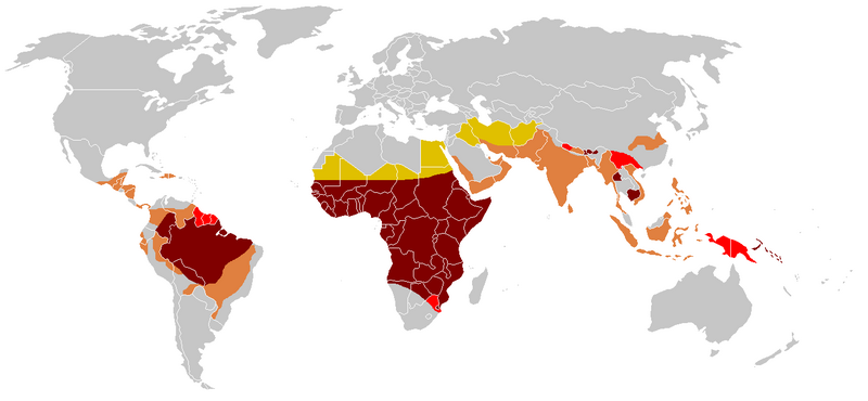 File:Paludisme - Frequence statistique.png