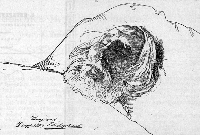 Файл:Turgenev death-bed.jpg