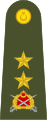 Turkish Land Forces Tümgeneral